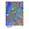 Affiche Carte de New-York