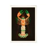 Affiche Eged Magic Lobster - 30 x 40 cm