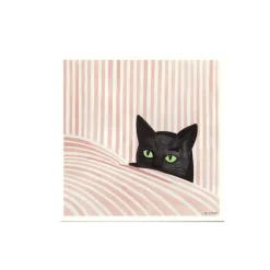 Affiche Kosicka Black cat - 50 x 50 cm