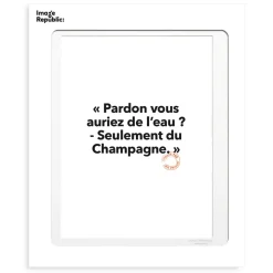 Affiche Loic Prigent Pardon Vous Auriez - 30 x 40 cm