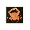 Affiche Spotted Calico Crab - 50 x 50 cm