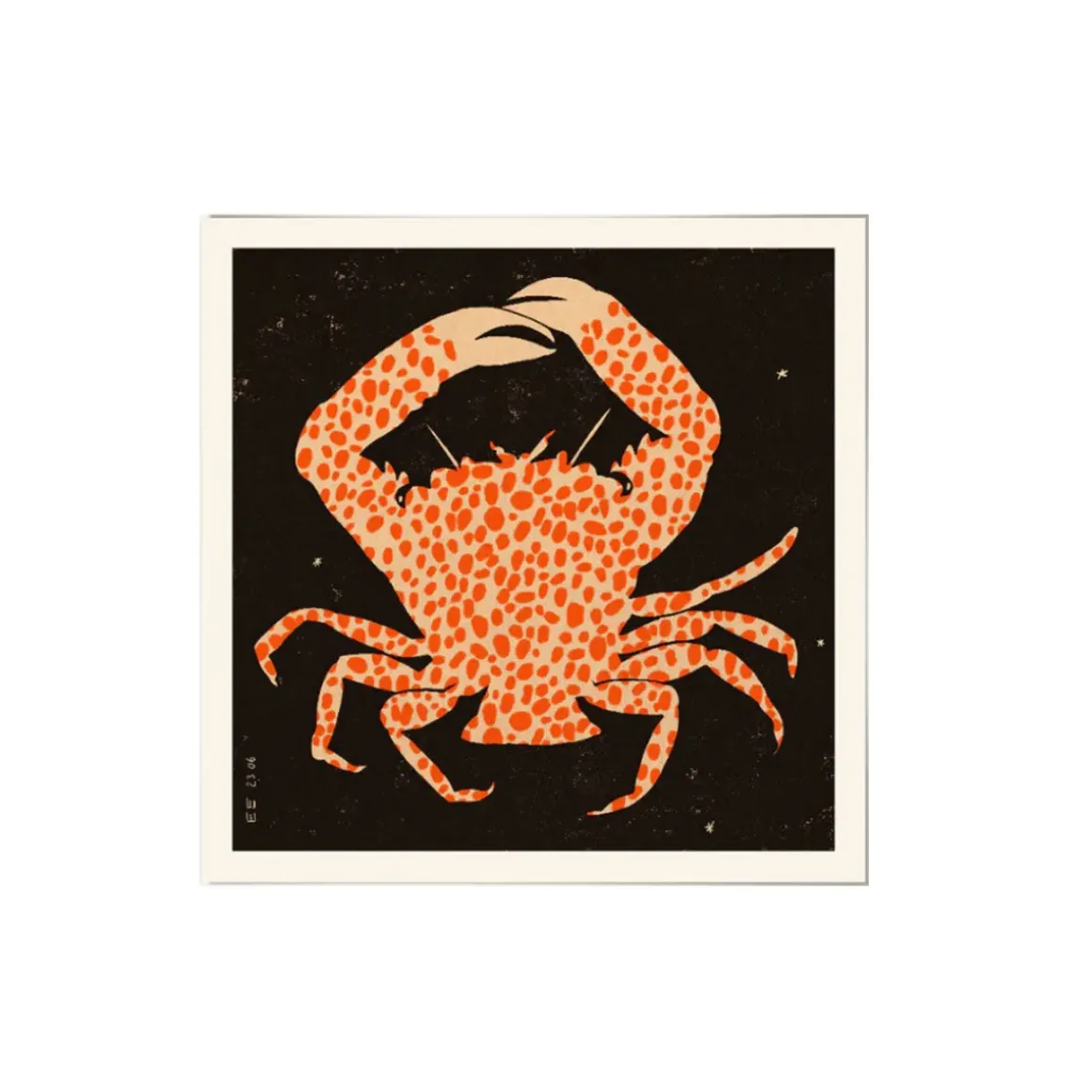 Affiche Spotted Calico Crab - 50 x 50 cm