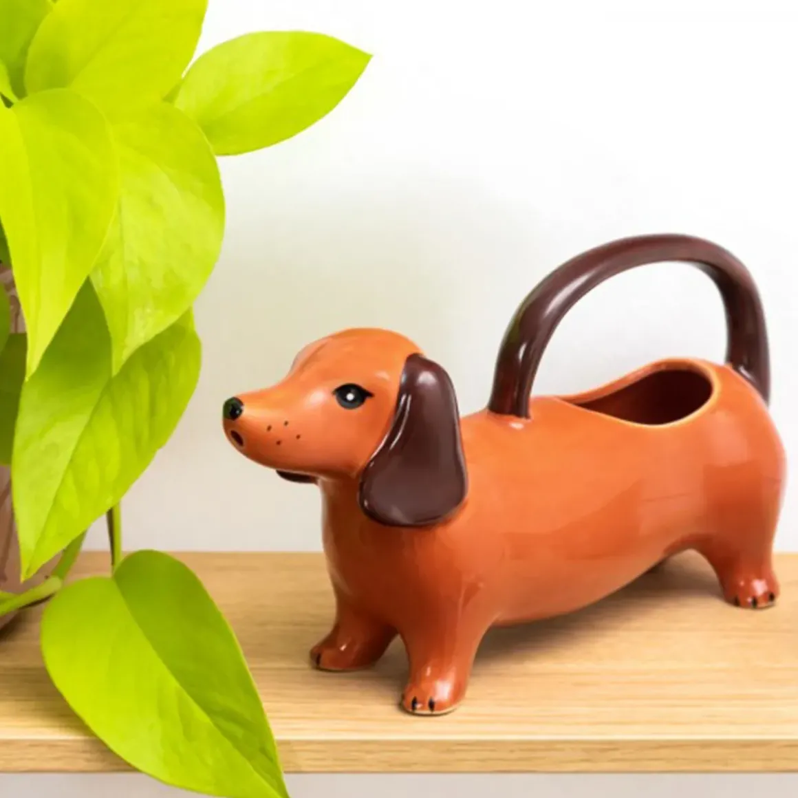 Arrosoir Chien Saucisse