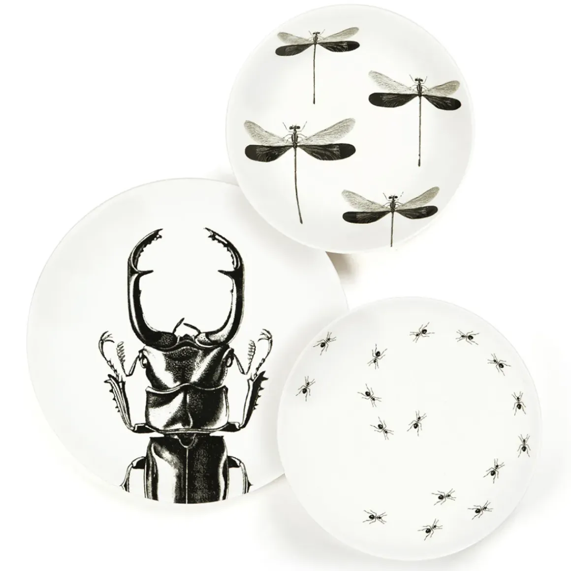 Assiette creuse - Libellule