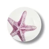 Assiette creuse Étoile de mer en porcelaine - Ø 20 cm