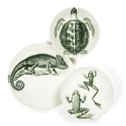 Assiette creuse - Tortue