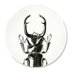Assiette plate - Scarabée
