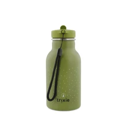 Bouteille Mr Dino en acier inoxydable 350 ml