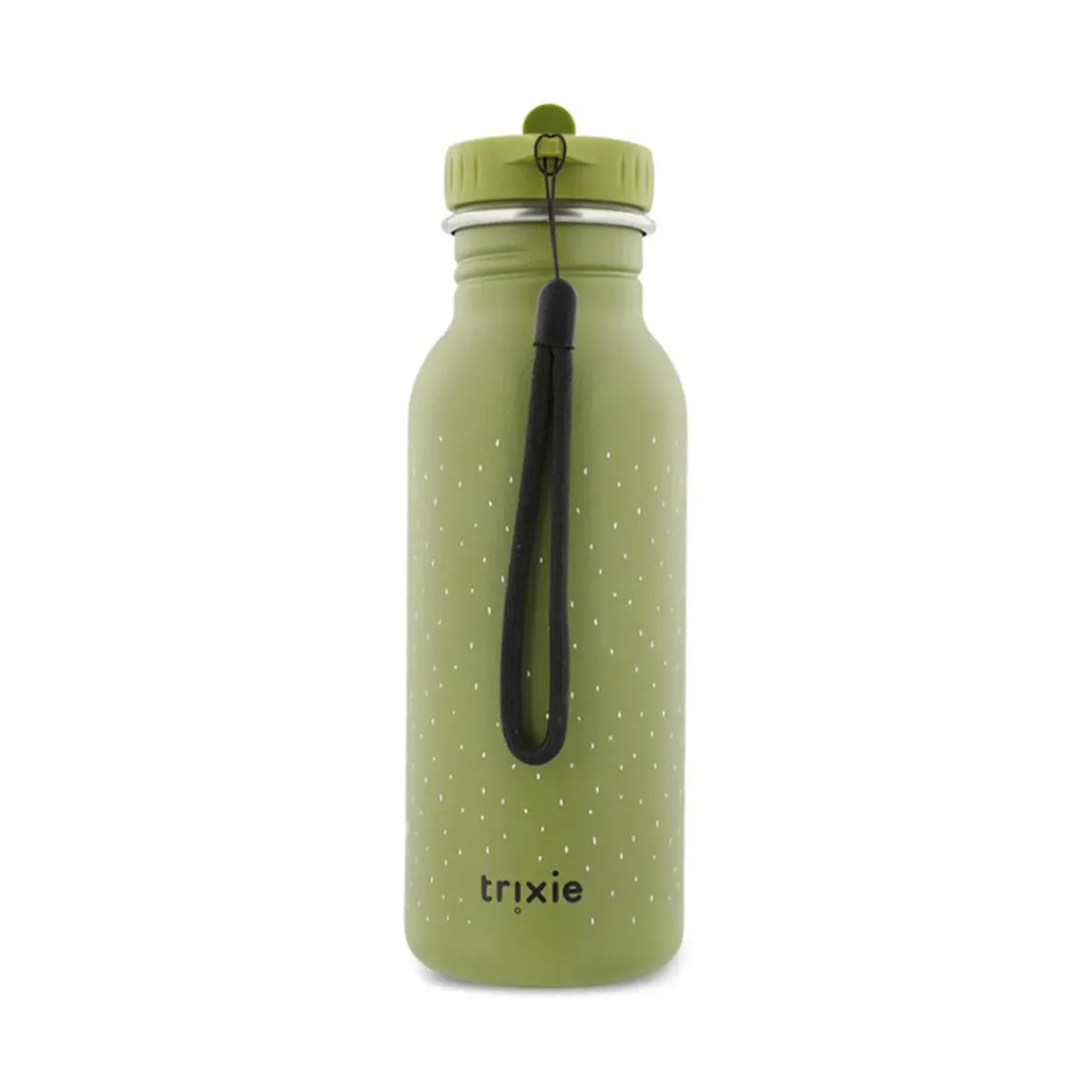 Bouteille Mr Dino - 500 ml