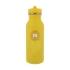 Bouteille Mr Lion - 500 ml
