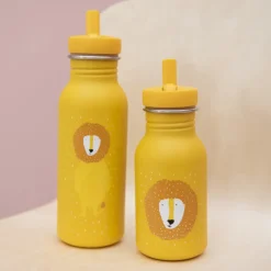 Bouteille Mr Lion - 500 ml