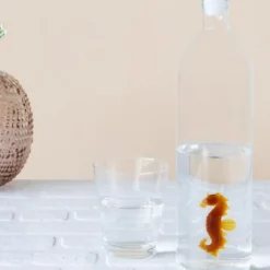 Bouteille Sea Horse Atlantis en verre borosilicate -1.2L