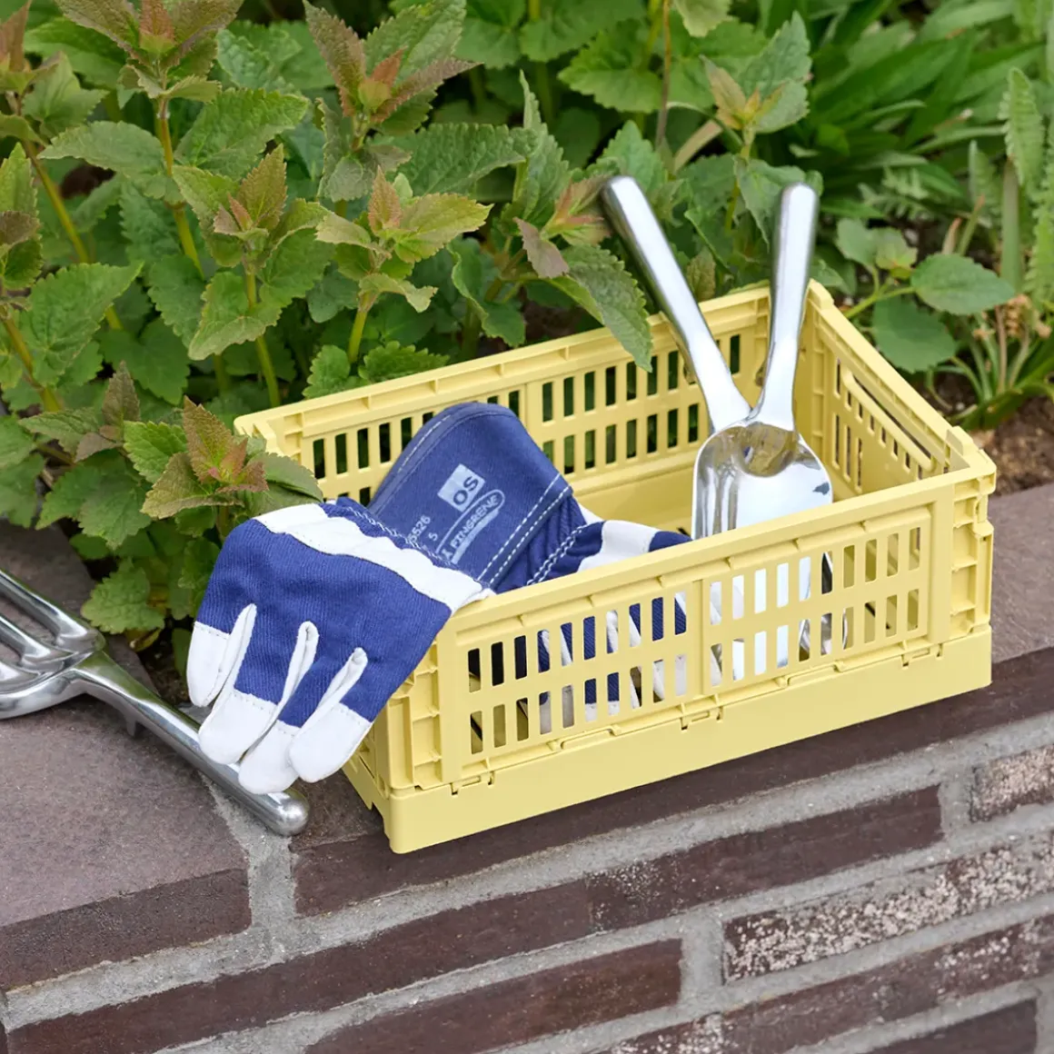 Caisse Crate S - L 26.5 cm X H 10.5 cm