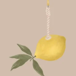 Carte Lemon Birthday