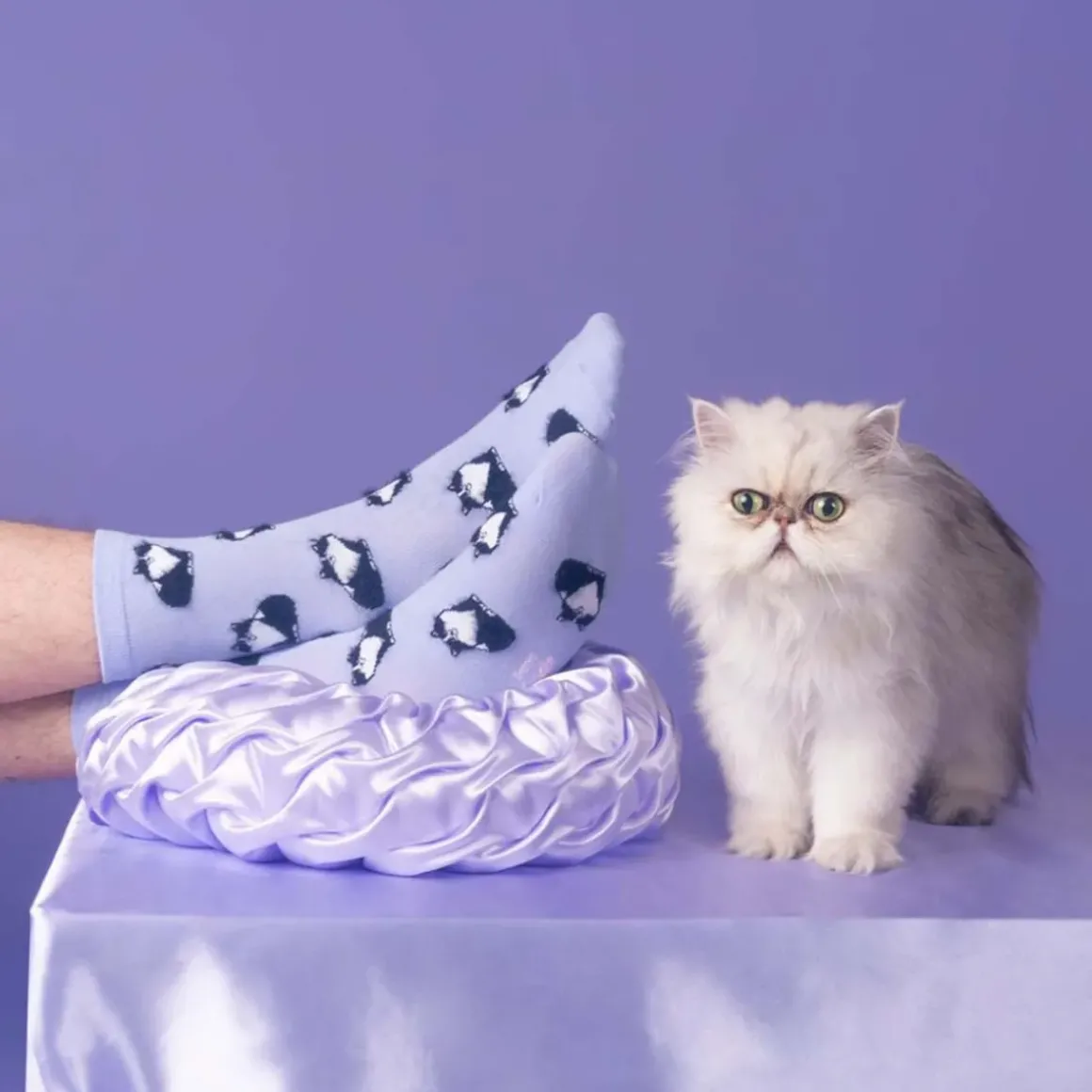 Chaussettes Chat Noir u0026 Blanc - Violet