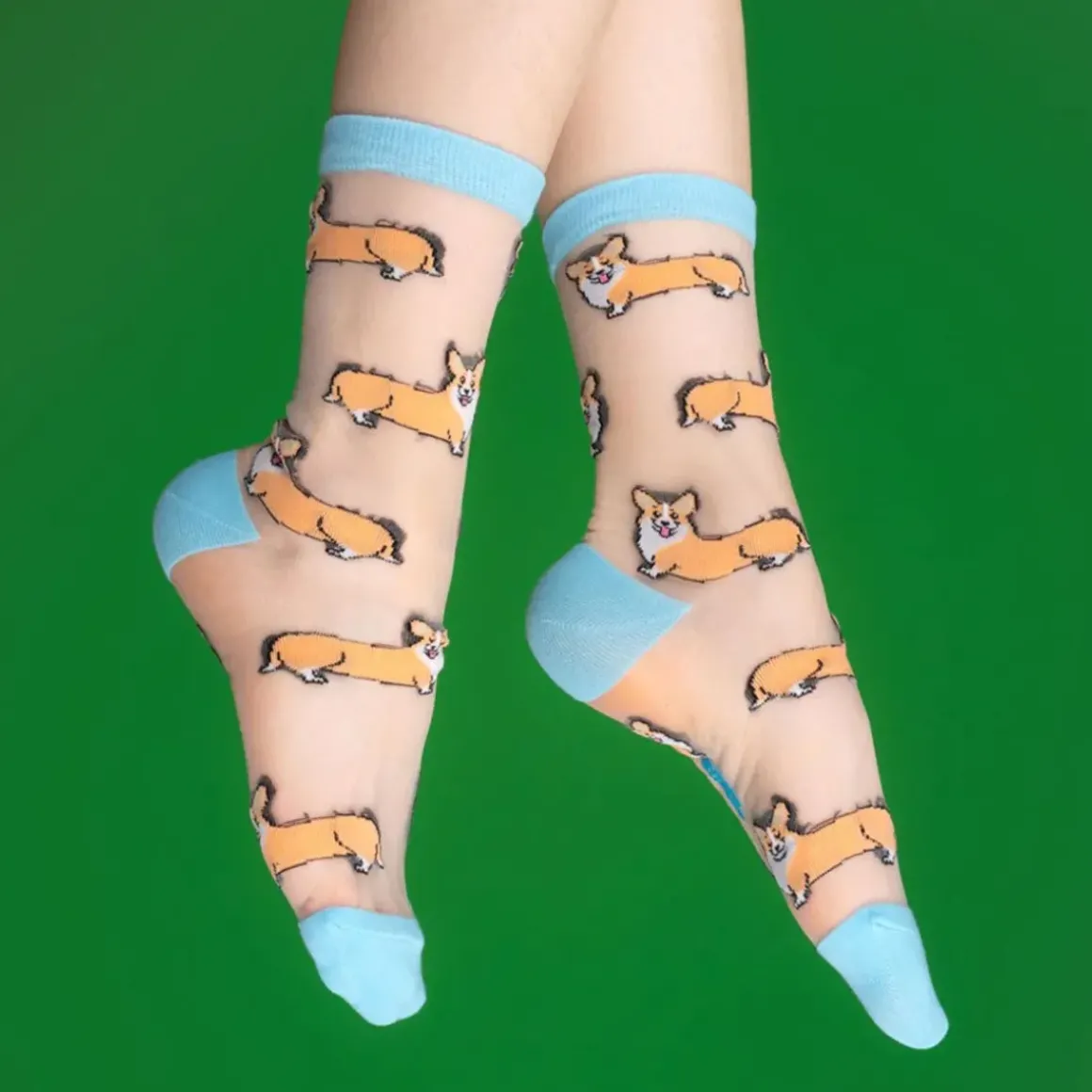 Chaussettes Transparentes - Corgi