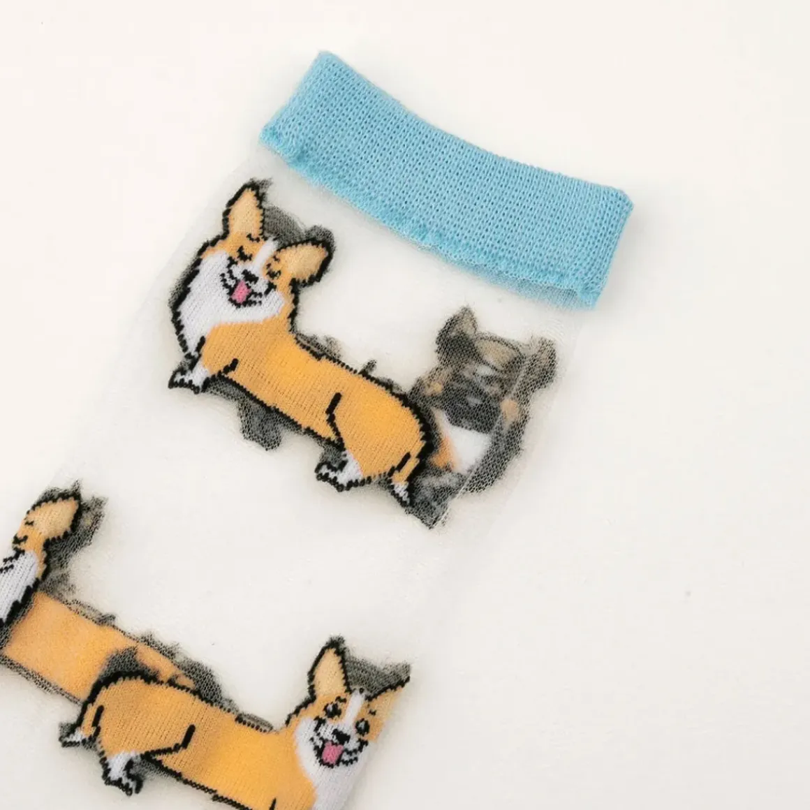 Chaussettes Transparentes - Corgi