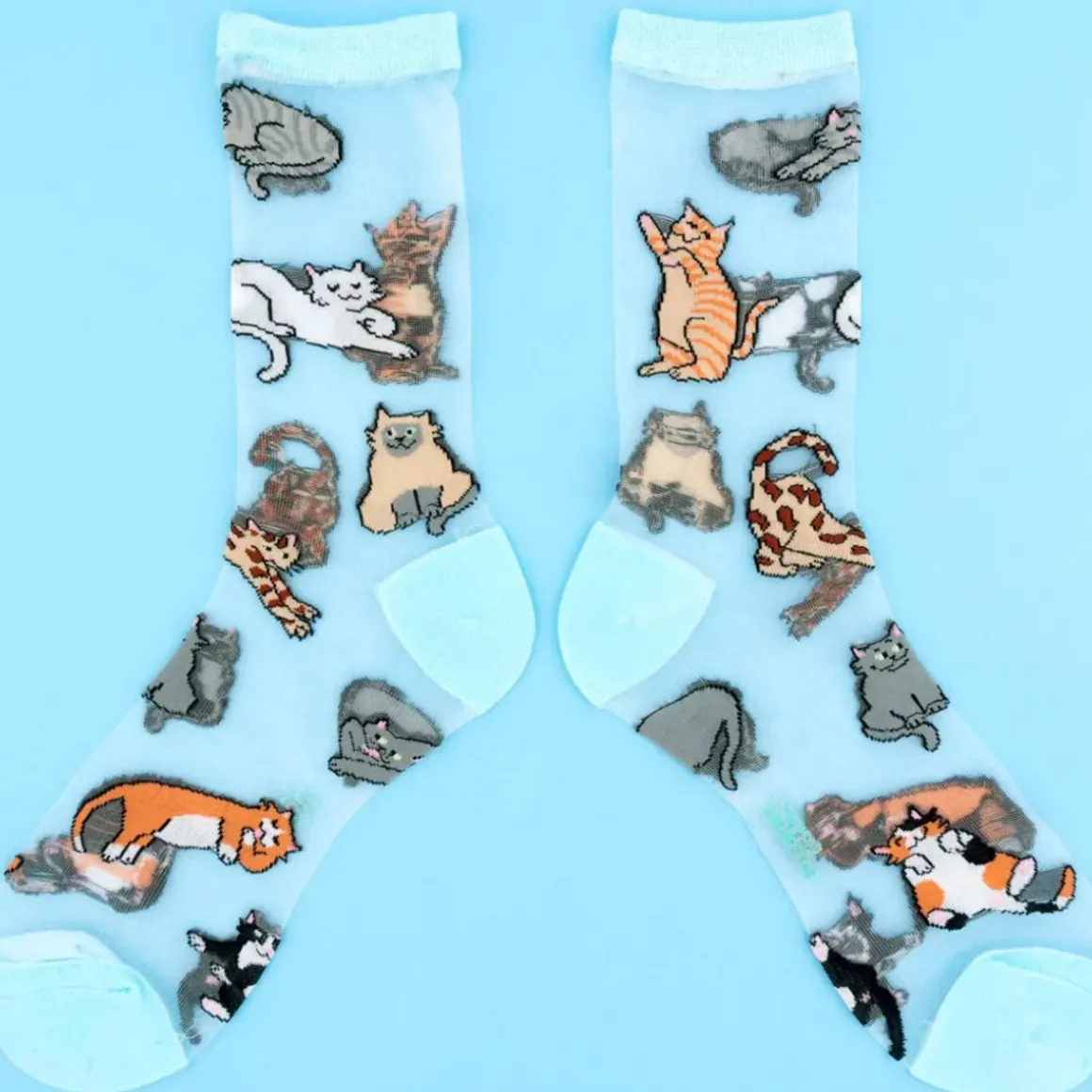 Chaussettes Transparentes - Miaou