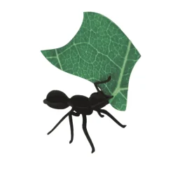 Collection Origami de 3 Fourmis Coupeuses De Feuilles