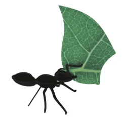 Collection Origami de 3 Fourmis Coupeuses De Feuilles