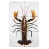 Décoration murale Homard Portugais - 40 x 60 cm