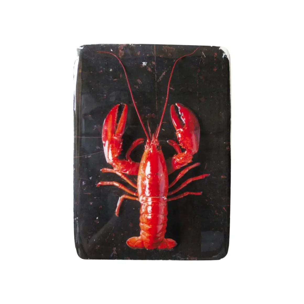 Décoration murale Homard rouge / fond noir - 20 x 29 cm