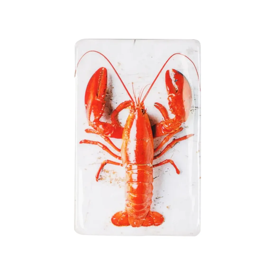 Décoration murale Homard Rouge / fond blanc - 20 x 29 cm