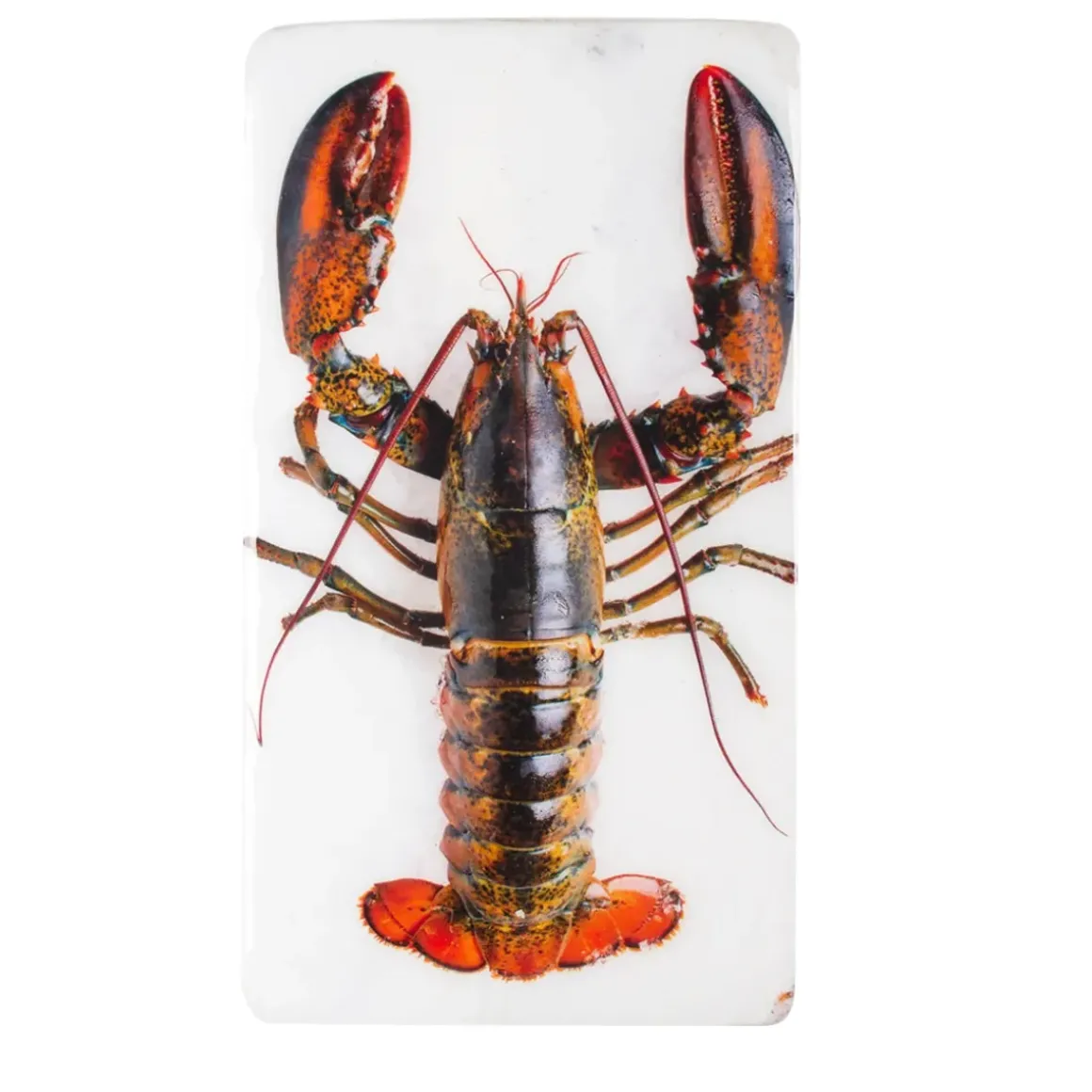 Décoration murale Homard sur glace sur fond blanc - 20 x 35 cm