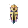 Décoration murale Mango Flower Beetle