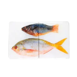 Décoration murale Poisson perroquet et Fusilier sur fond blanc - 40 cm x 24 cm