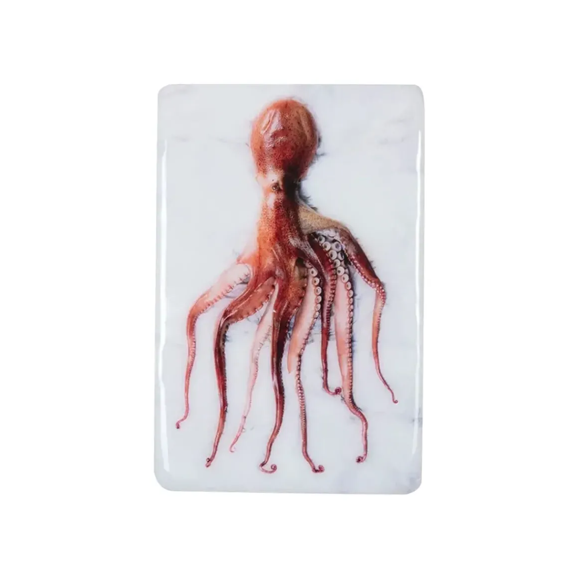 Décoration murale Poulpe Portugais Rouge sur fond blanc - 20 x 29 cm