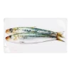 Décoration murale Sardines vertes - 35 x 20 cm