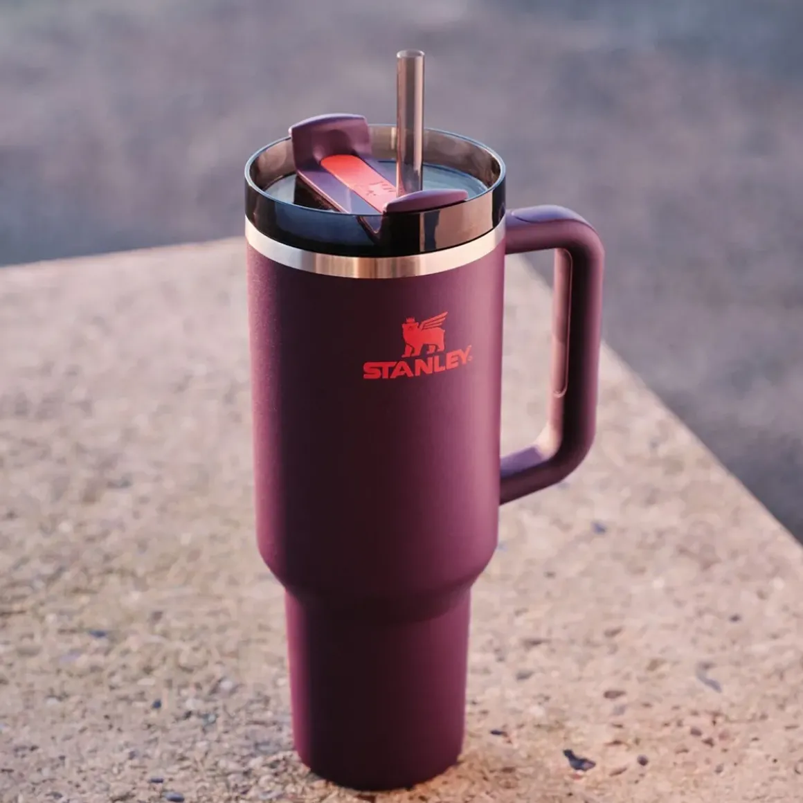 Gourde Quencher H2.0 - Plum