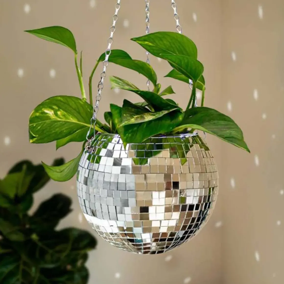 Jardinière Funky Disco