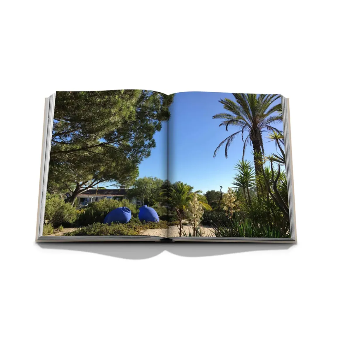 Livre Comporta Bliss