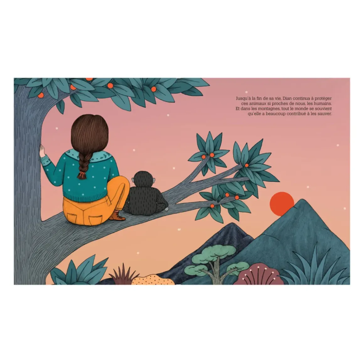 Livre Dian Fossey Collection Petite u0026 Grande