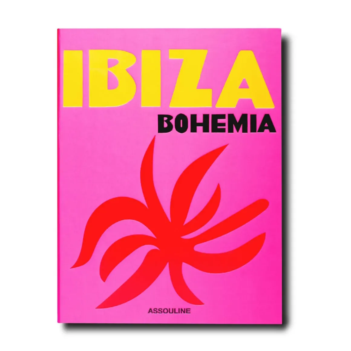 Livre Ibiza Bohemia