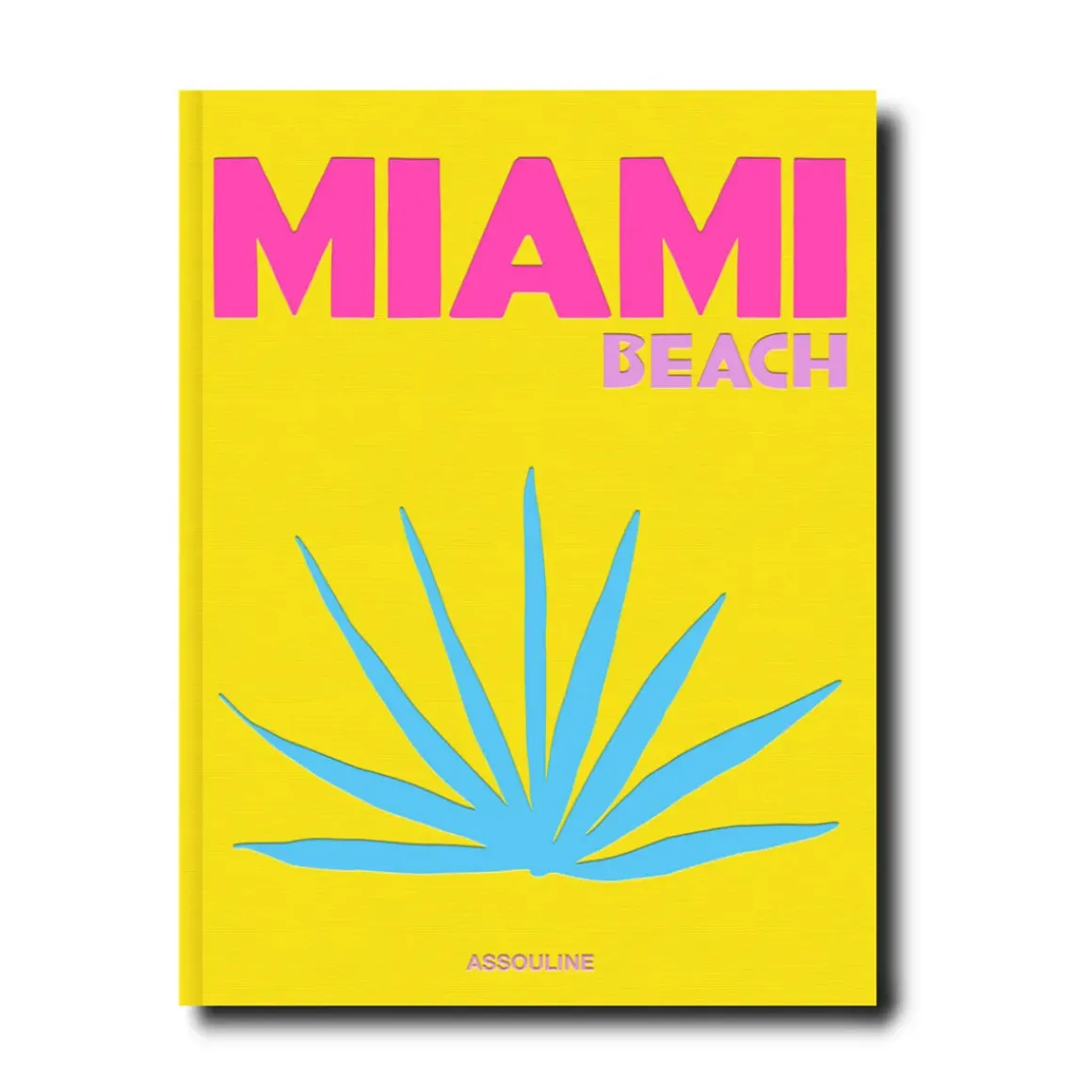 Livre Miami Beach
