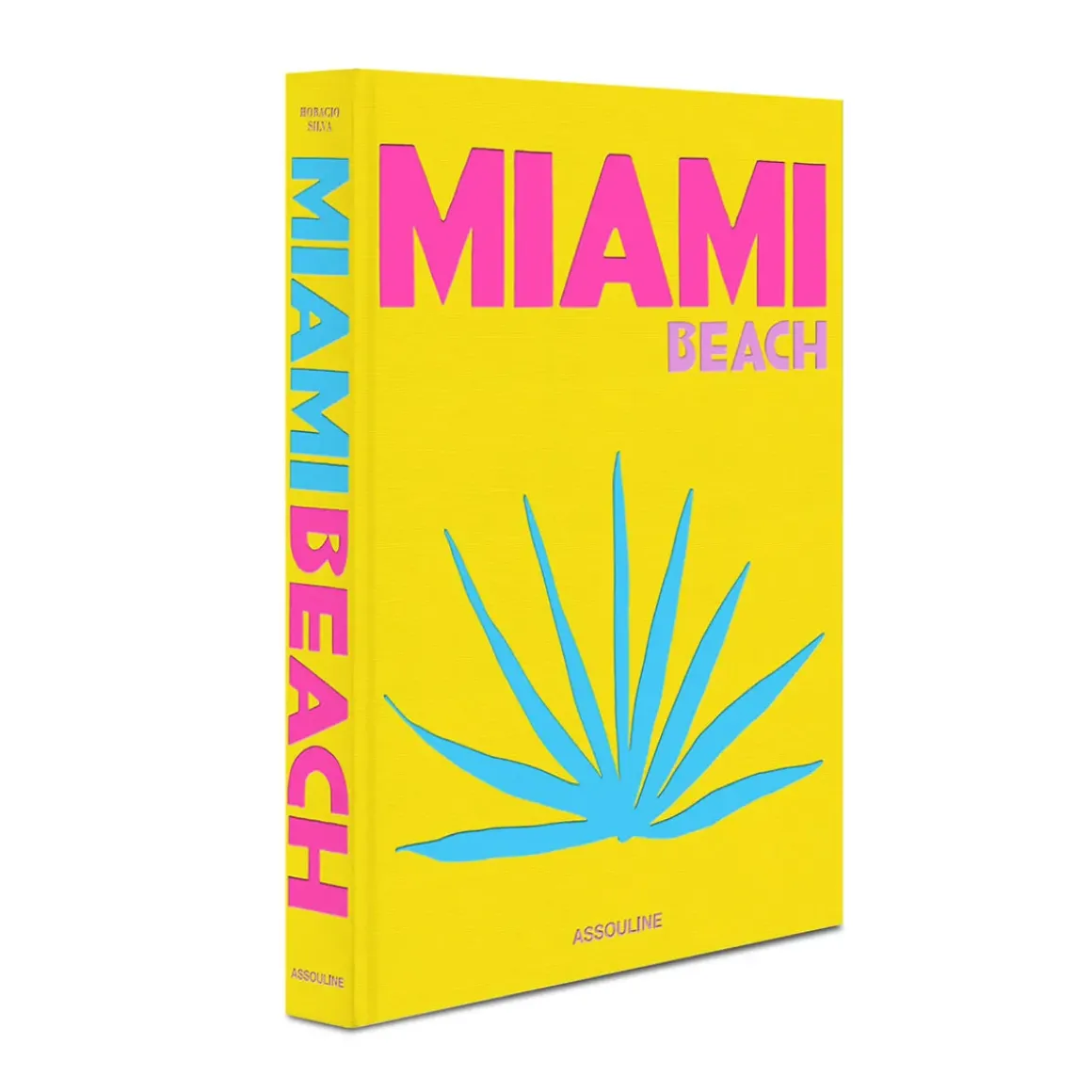 Livre Miami Beach