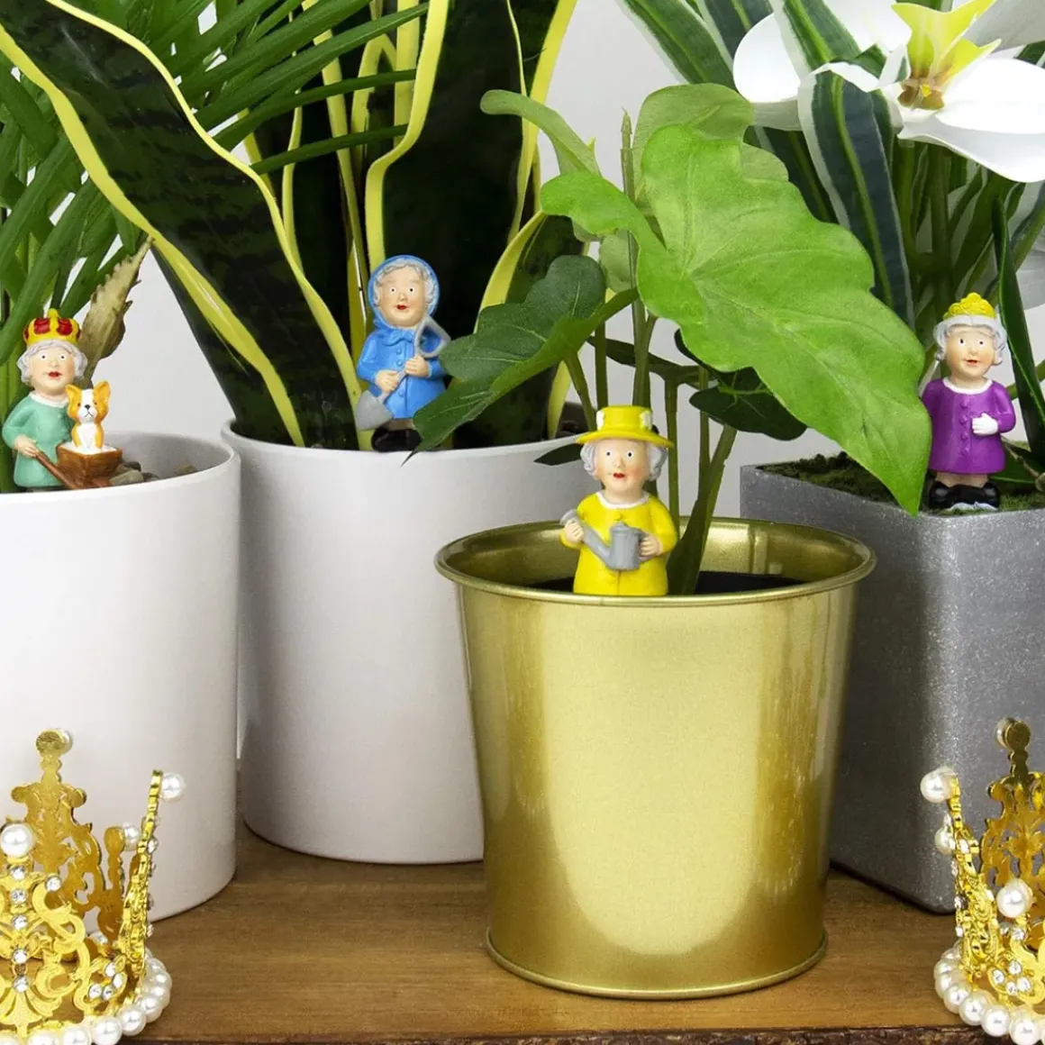 Mini nains de jardin royales