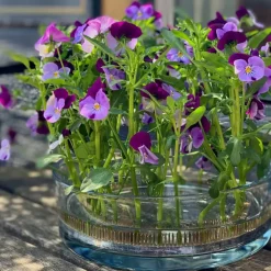 Pique à fleurs cercle Kenzan - Ø 20 cm - Noir Cuivré