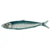 Plateau Sardine bleutée
