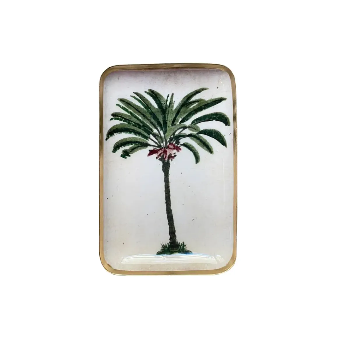 Plateau Solo - Palmier