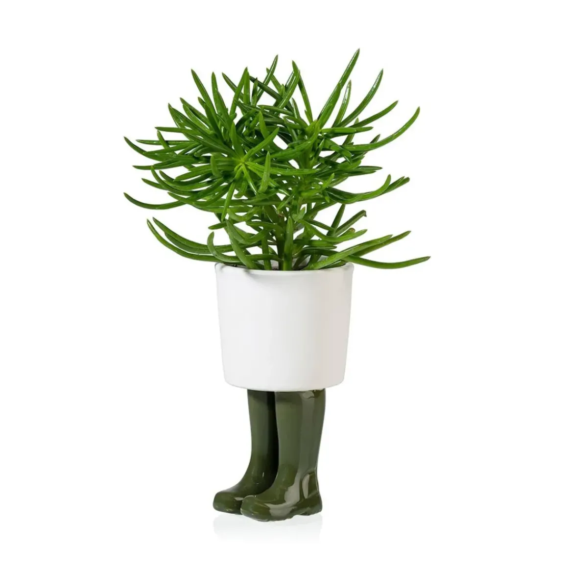 Pot / Jardinière Wellington Petit - Vert