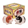 Salière u0026 Poivrière Guinea Pig