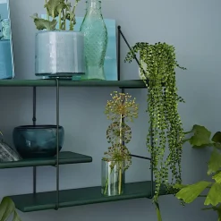 Étagère Shrink - Vert Forêt