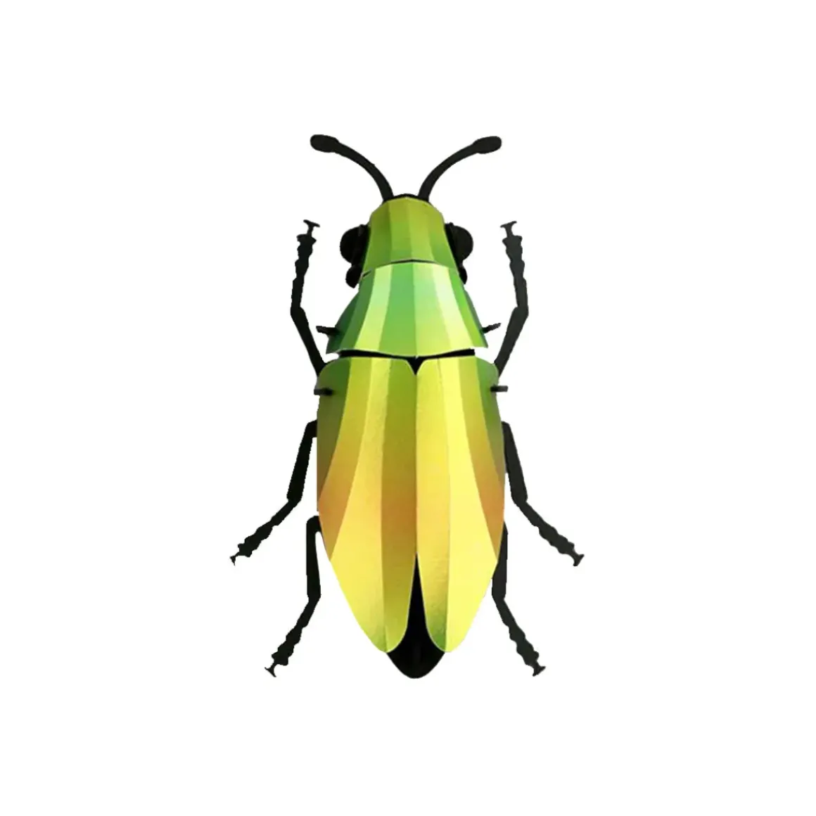 Trophée Origami Coléoptère Mango Vert