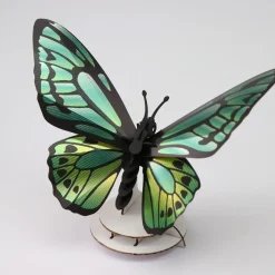 Trophée Origami Papillon Birdwing - Vert
