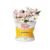Vase Chips