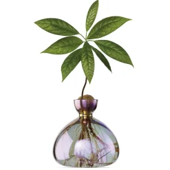 Vase en verre pour avocat